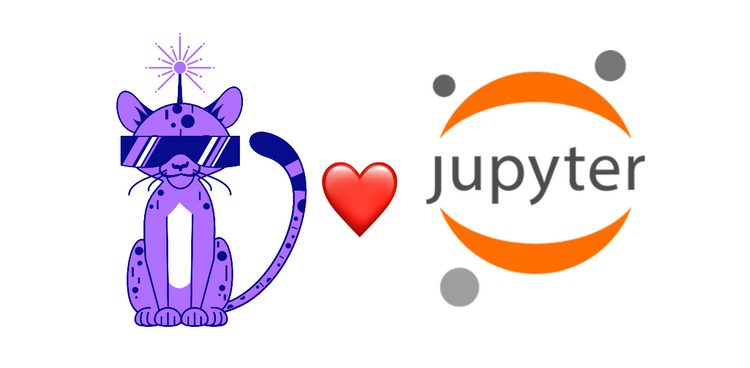 RunReveal supports Jupyter Notebooks
